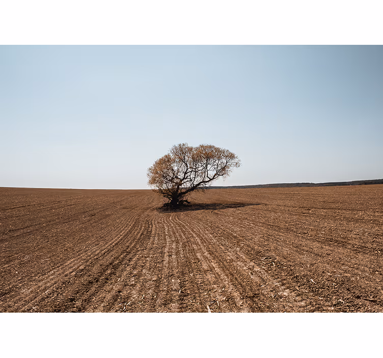 Nature wall mural lonely tree landscape - TenStickers