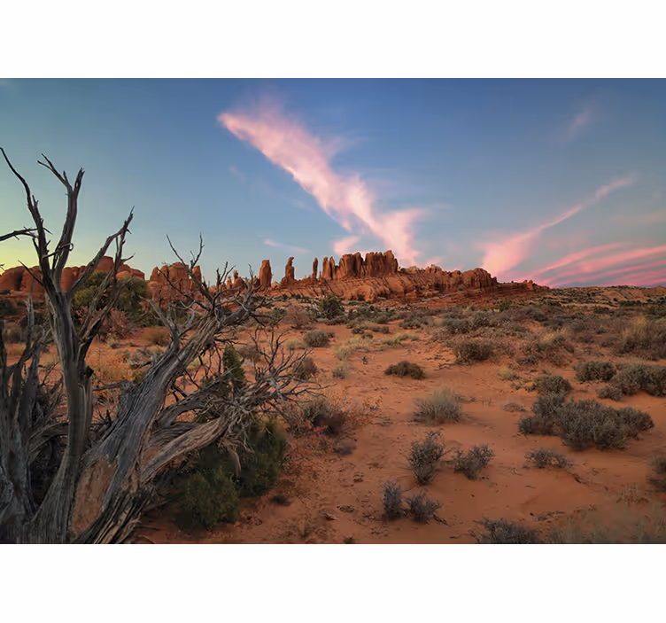 Landscape mural desert rock formations - TenStickers