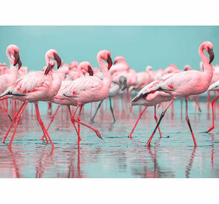 Animal mural flamingo flock walk - TenStickers