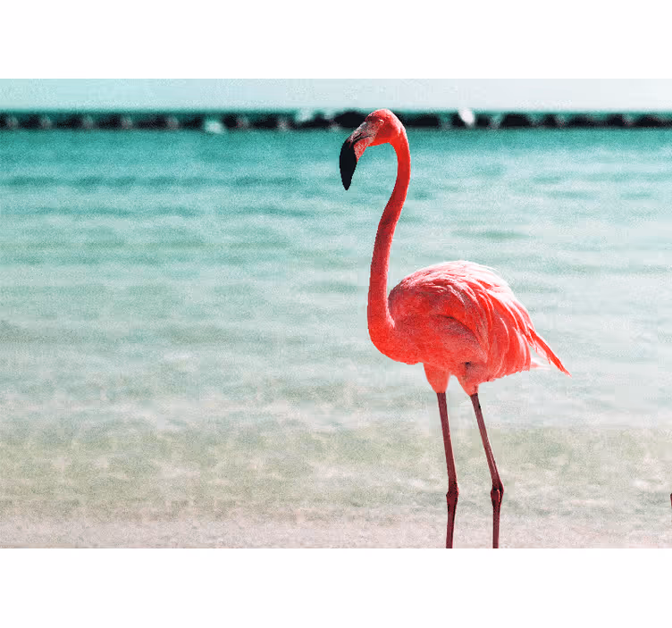 Animal mural graceful flamingo pose - TenStickers