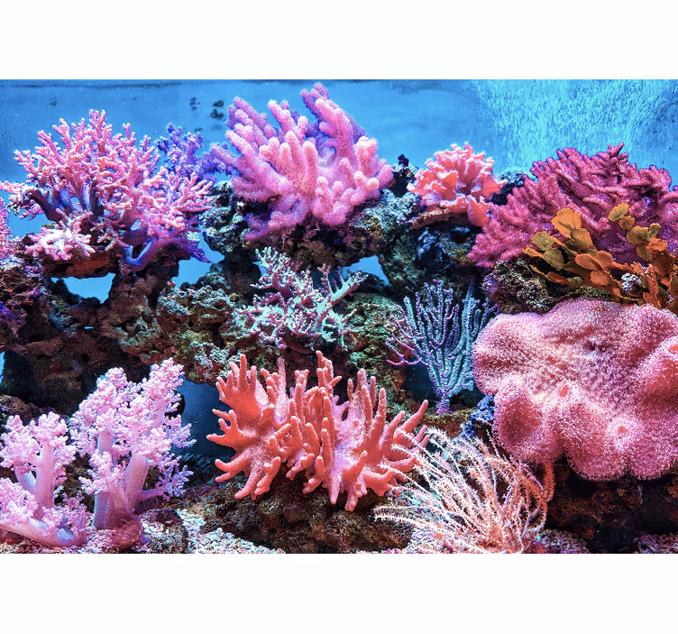 Aquatic Coral Scene under the sea mural - TenStickers