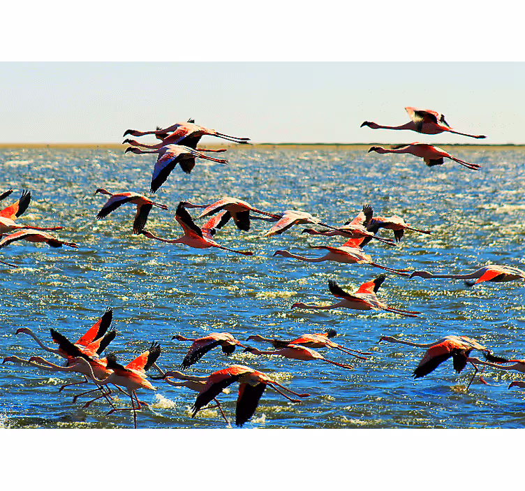 Animal mural flying flamingos group - TenStickers