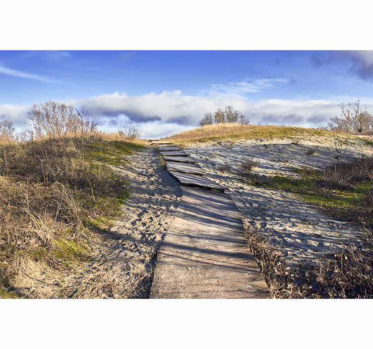 Landscape mural wooden pathway scene - TenStickers