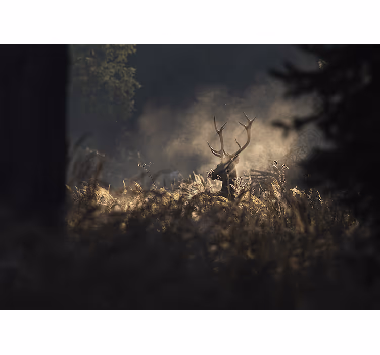 Animal mural regal elk silhouette - TenStickers