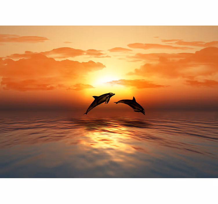 Dolphins Jumping Sunset animal mural - TenStickers