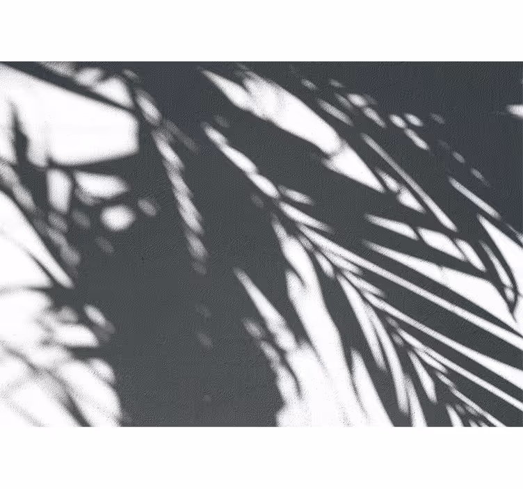 Nature wall mural shadowy palm patterns - TenStickers