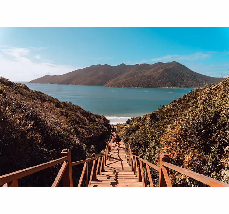Landscape mural serene ocean pathway - TenStickers