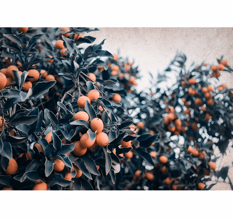 Flower mural citrus fruit branch design - TenStickers
