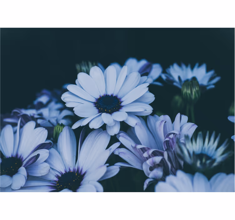 Flower mural serene floral display - TenStickers