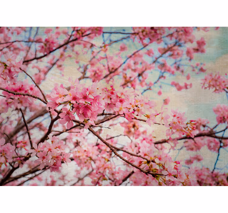 Flower mural sakura branches design - TenStickers