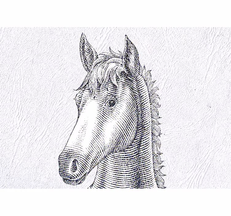 Animal mural elegant horse portrait - TenStickers