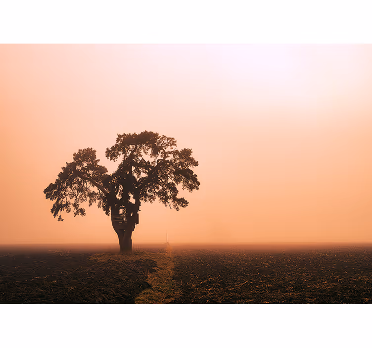 Majestic savannah tree africa wall mural - TenStickers