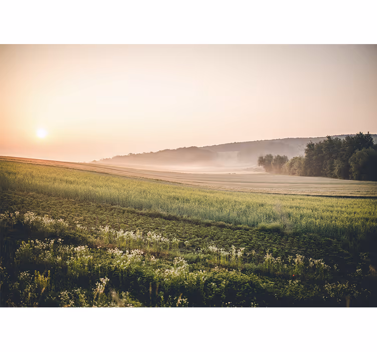 Landscape mural tranquil green meadows - TenStickers