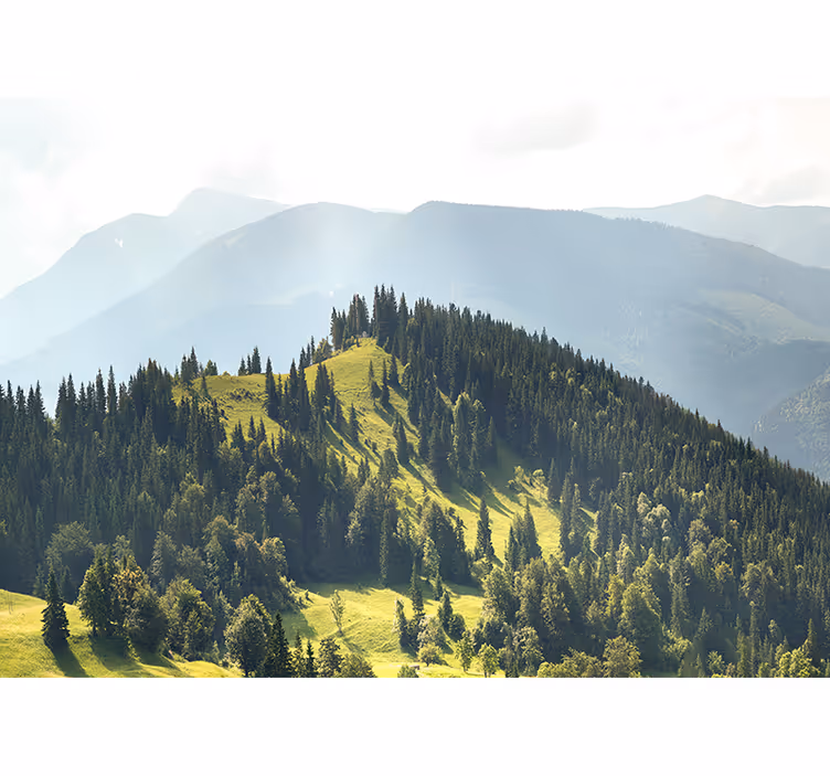 Landscape mural mountain forest view - TenStickers
