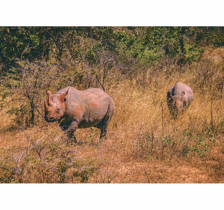 Animal mural rhinos in grassland - TenStickers