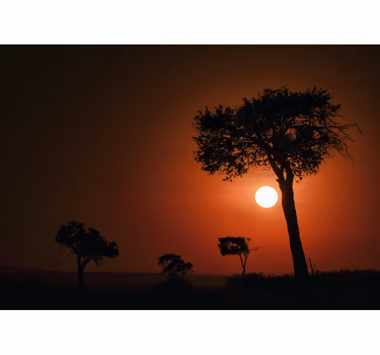 Silhouette Sunset Scene landscape mural - TenStickers