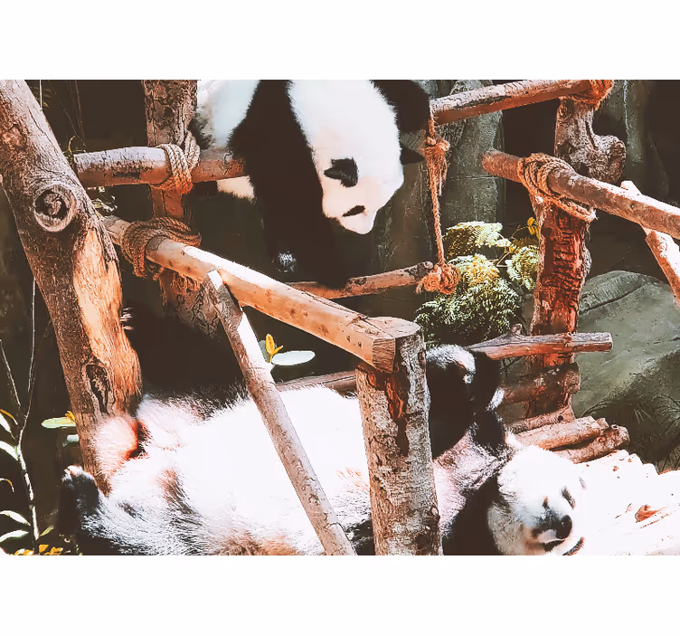 Animal mural panda playtime scene - TenStickers