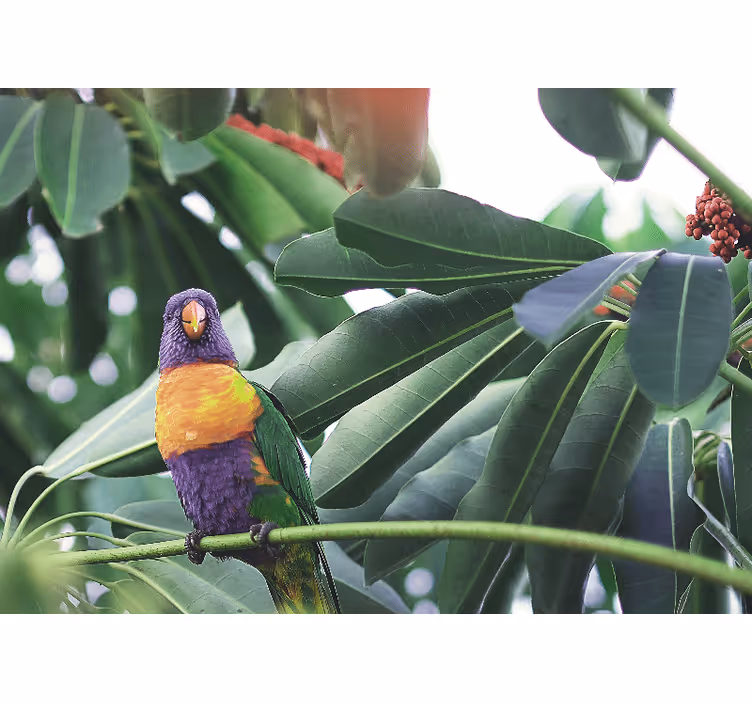 Animal mural colorful parrot perched - TenStickers