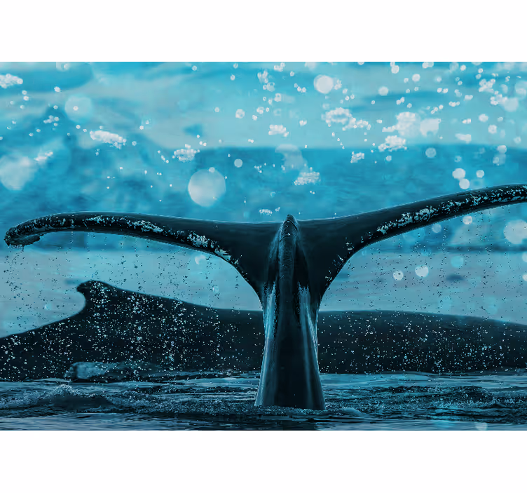 Animal mural whale fluke splash - TenStickers