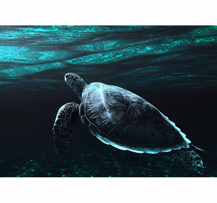 Animal mural majestic sea turtle - TenStickers