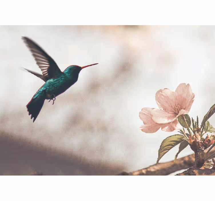 Animal mural hummingbird and blossom - TenStickers