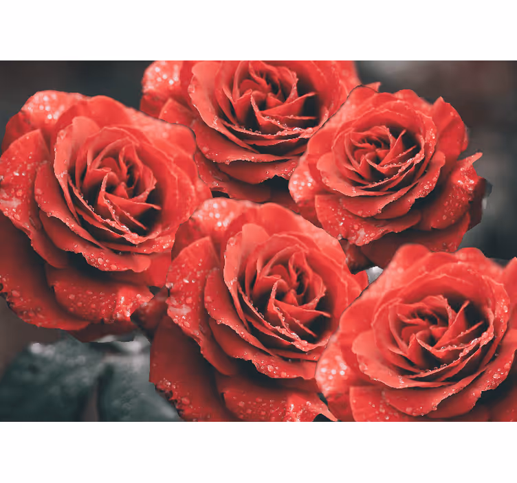 Flower mural of crimson rose blossoms - TenStickers