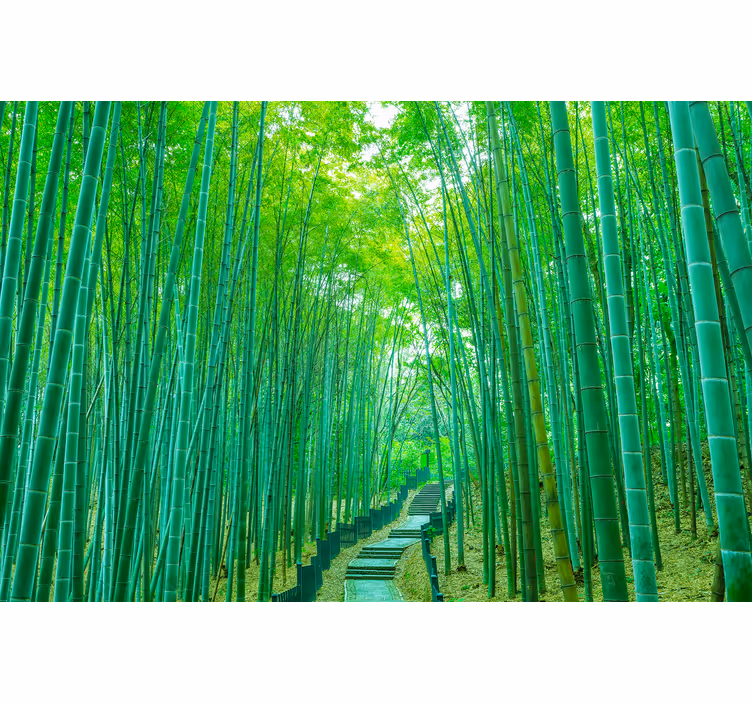 Bamboo mural serene bamboo path - TenStickers