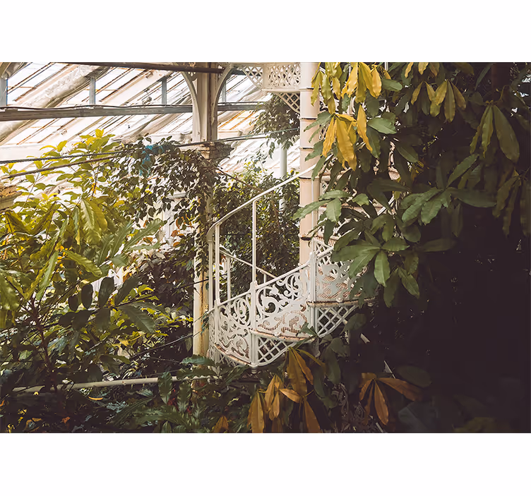 Nature wall mural lush greenery oasis - TenStickers