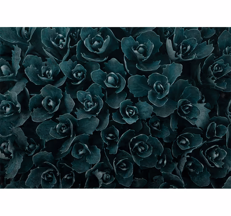 Flower mural elegant rose blossom - TenStickers