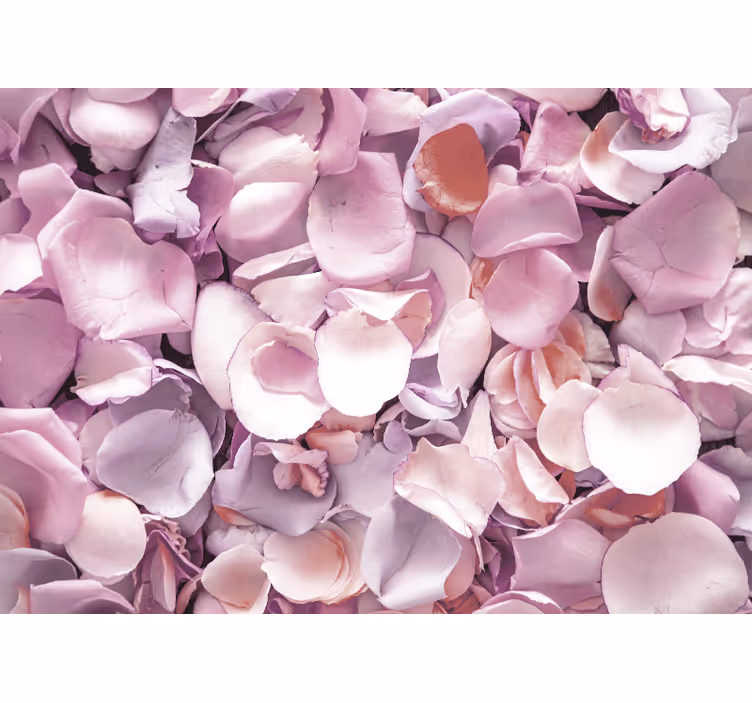 Flower mural rose petal detail - TenStickers