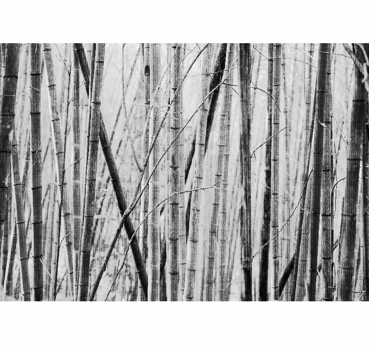 Bamboo mural with bamboo forest design - TenStickers