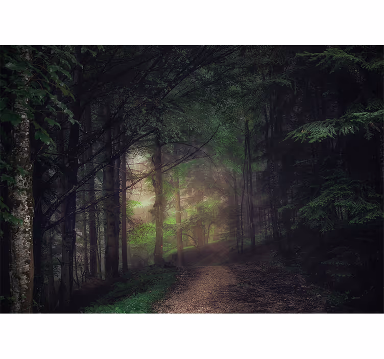 Old-growth Forest tree mural - TenStickers