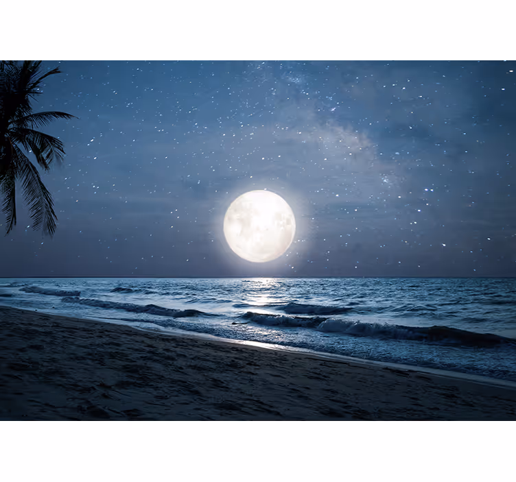 Nature wall mural bright moonlit ocean - TenStickers