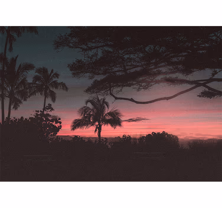 Landscape mural tropical sunset silhouette - TenStickers
