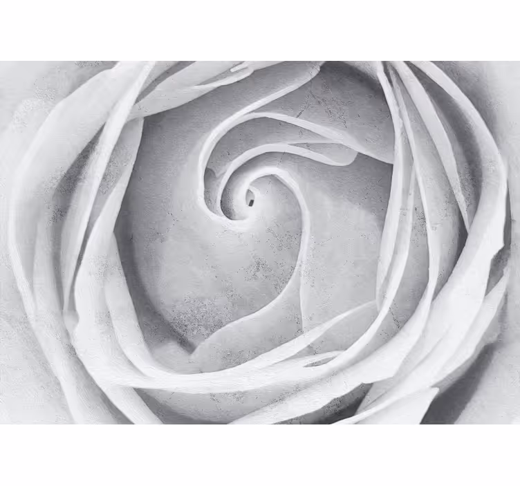 Flower mural elegant rose spiral - TenStickers