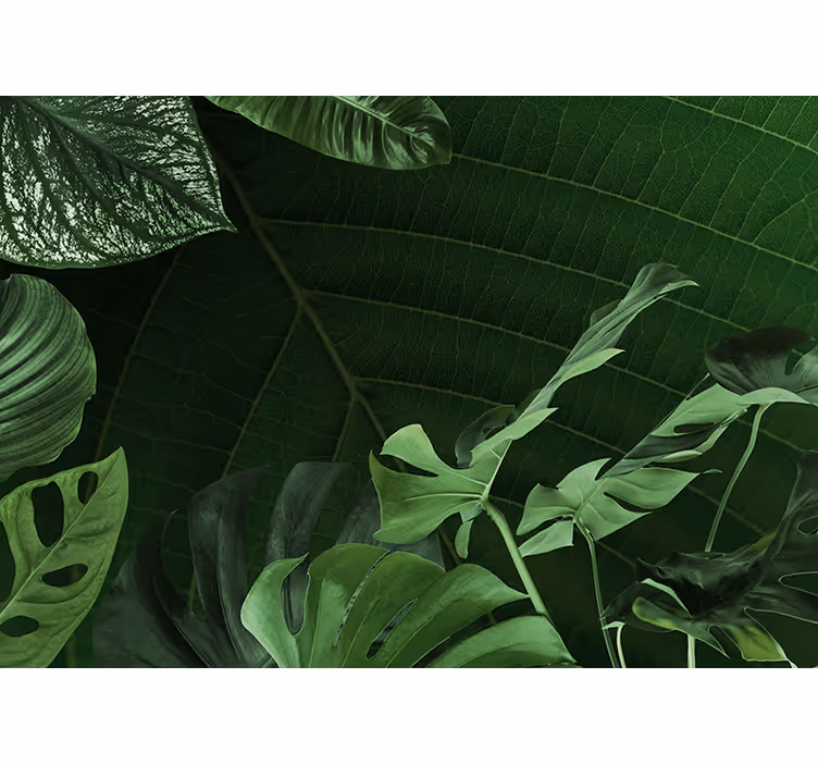 Realistic tropical leaf living room wall mural - TenStickers