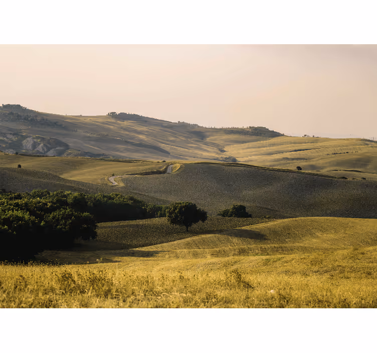 Landscape mural rolling hills scenery - TenStickers