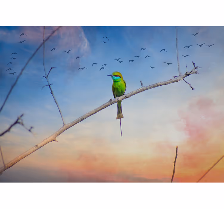 Animal mural bird on branch - TenStickers