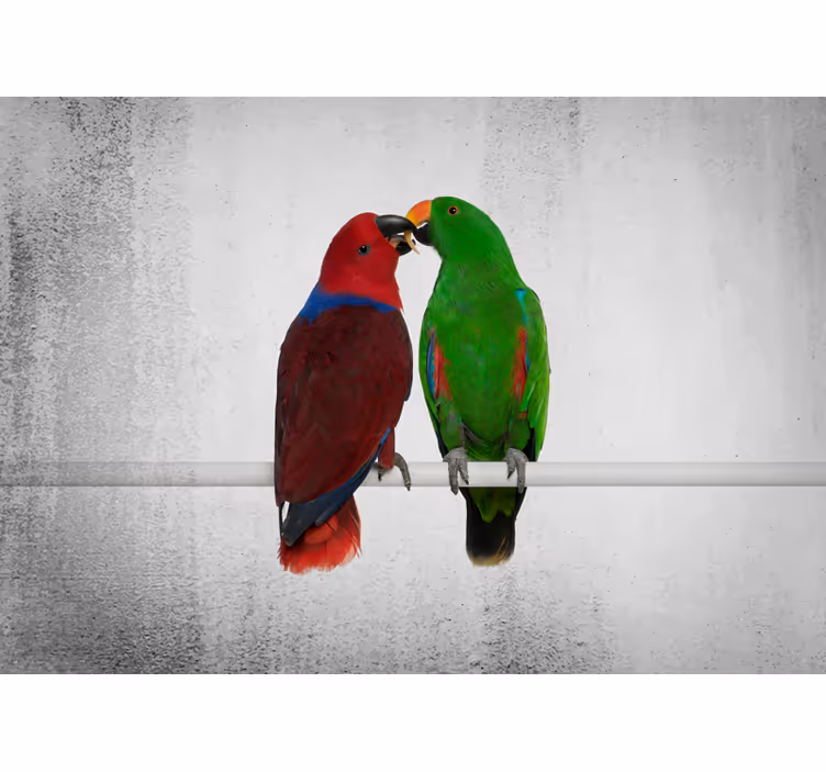 Colorful parrots interaction wall mural - TenStickers