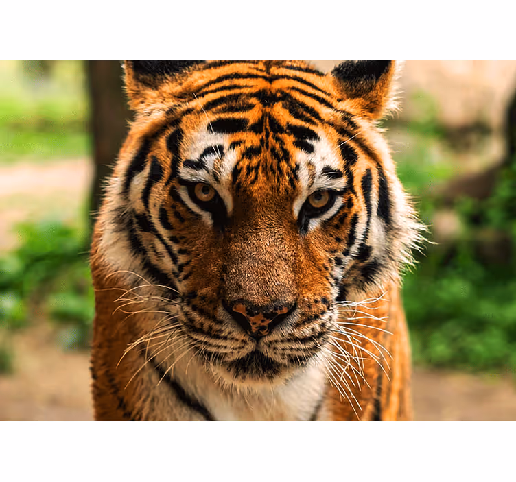 Animal mural regal tiger artwork - TenStickers