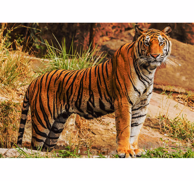 Animal mural majestic tiger presence - TenStickers