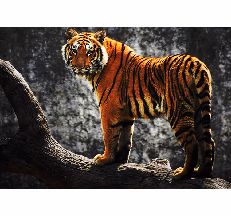 Animal mural regal tiger pose - TenStickers