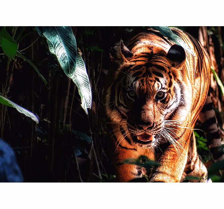 Animal mural majestic tiger stalks - TenStickers