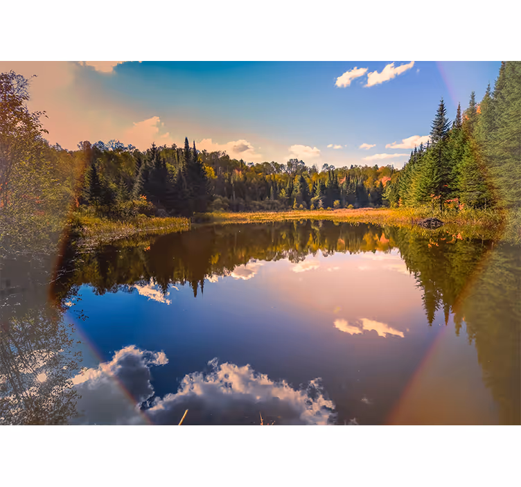 Lake during daylight lake wall mural - TenStickers