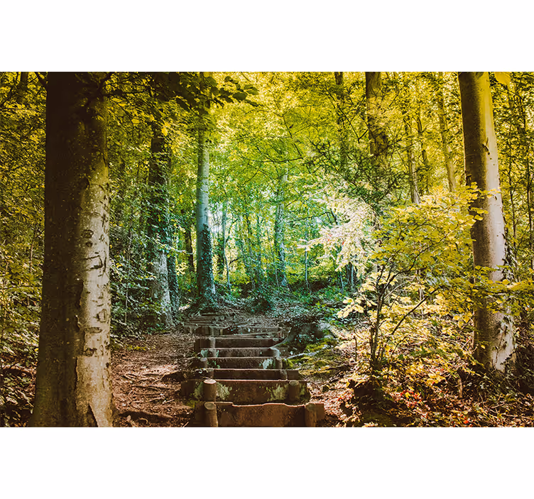 Woodland Path With Stairs Forest Wall Mural - TenStickers
