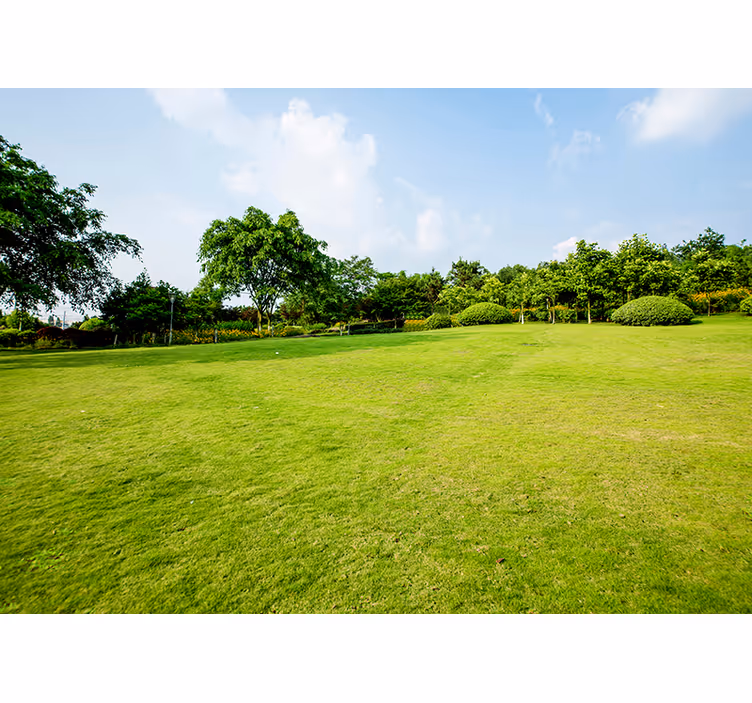 Verdant Meadow Panorama nature wall mural - TenStickers