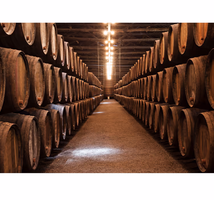 Vintage cellar wall mural - TenStickers