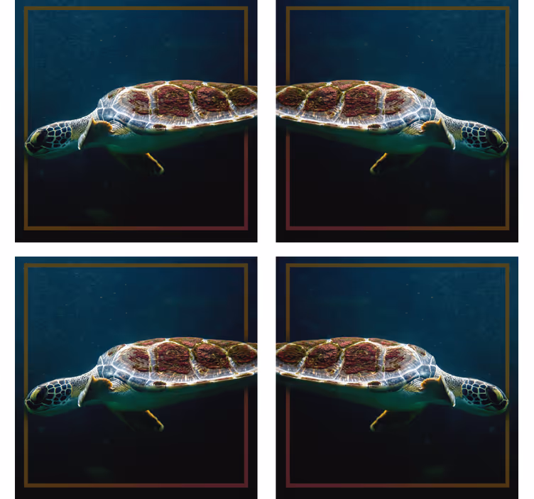 Modern coasters graceful sea turtle design - TenStickers