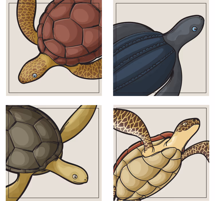 Geek coasters with vibrant turtle illustrations - TenStickers