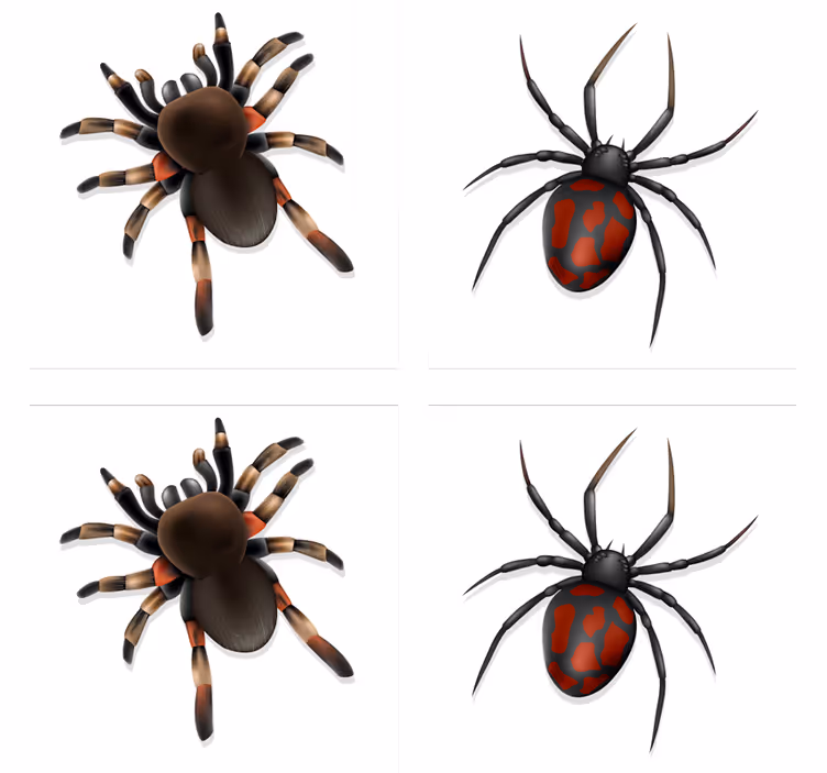 Halloween coaster spooky spider set - TenStickers